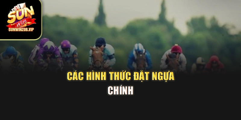 Các hình thức đặt ngựa chính 