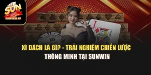 Xì Dách Là Gì? - Trải Nghiệm Chiến Lược Thông Minh Tại Sunwin